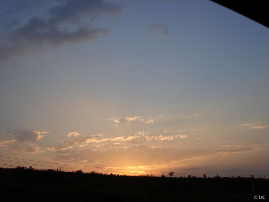 DSC02991
