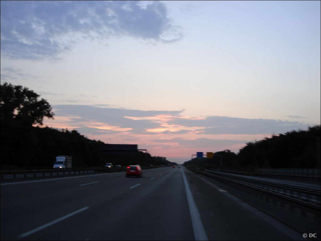 DSC03005