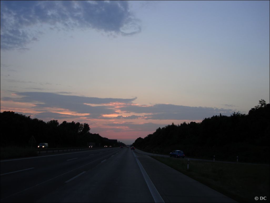DSC03006