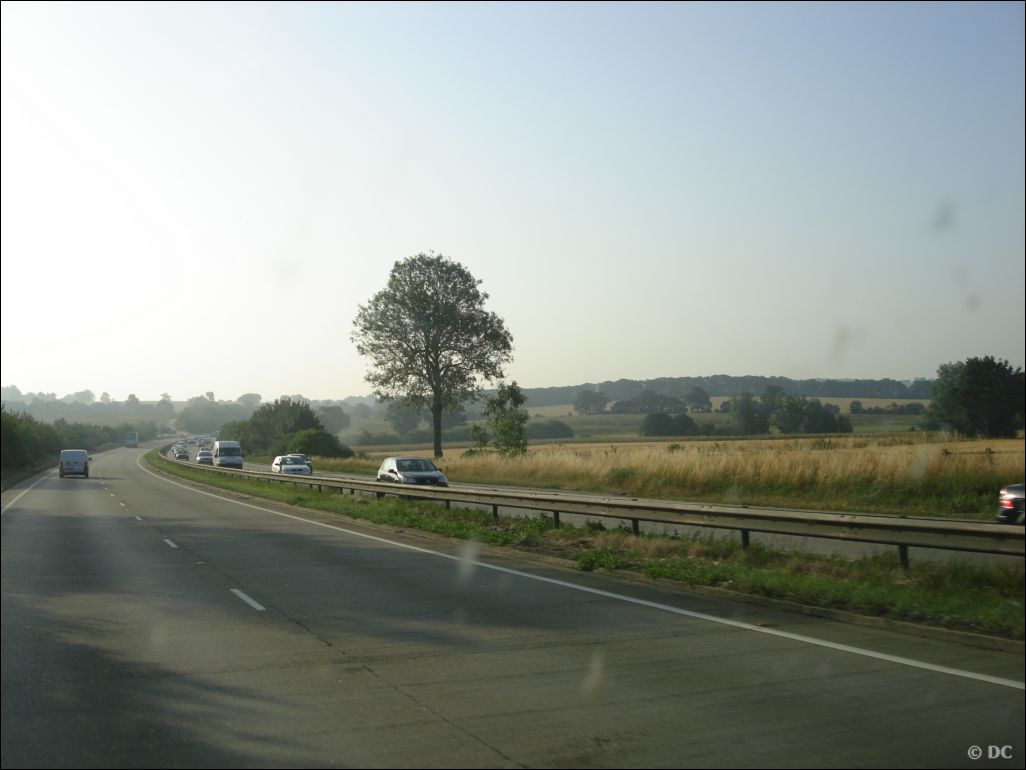 DSC03038
