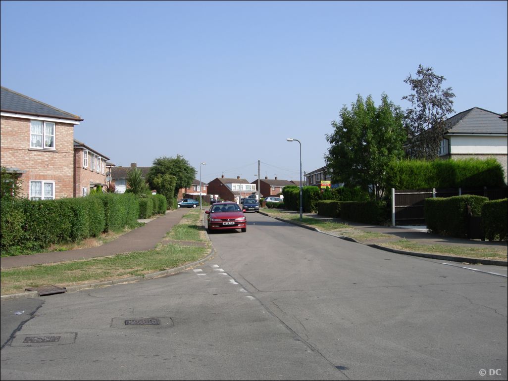DSC03046