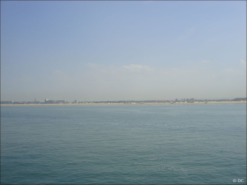 DSC03176