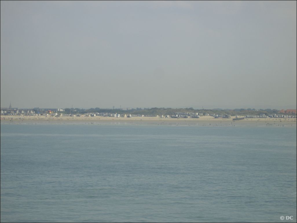 DSC03177