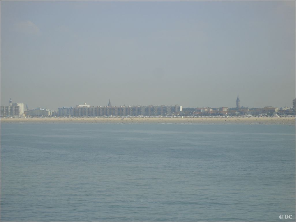 DSC03178