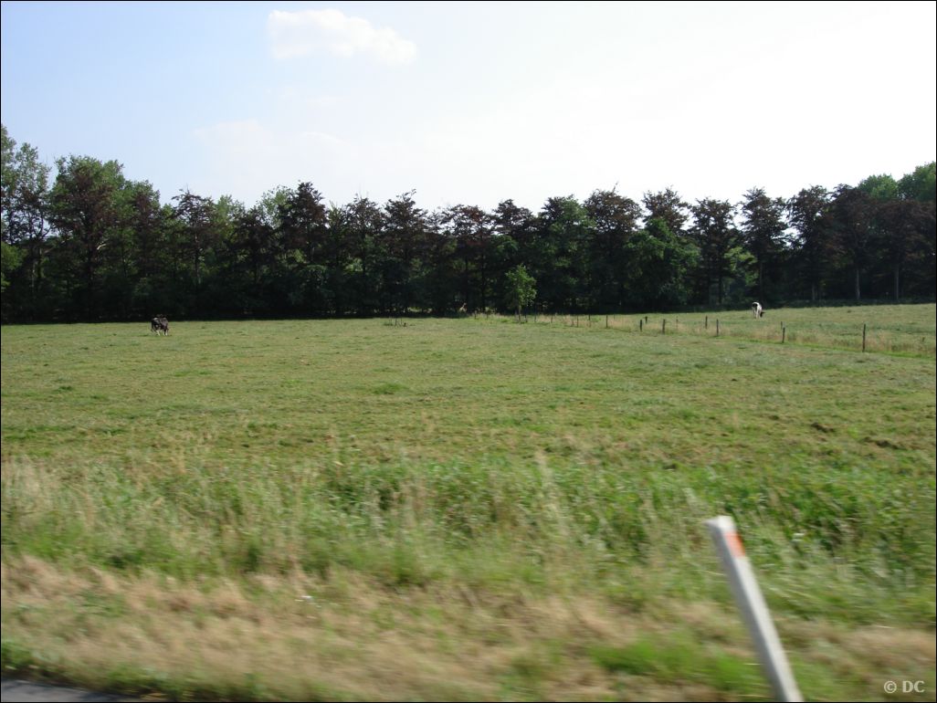 DSC03194
