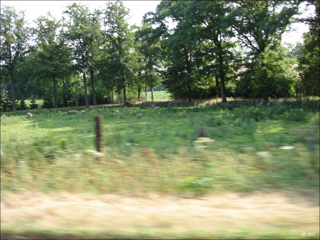 DSC03198