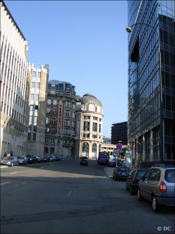 DSC03217