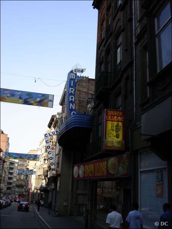 DSC03236