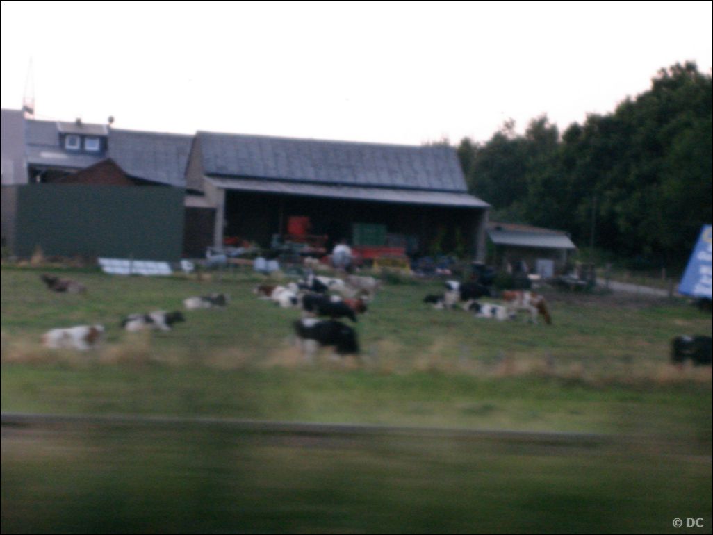 DSC03244