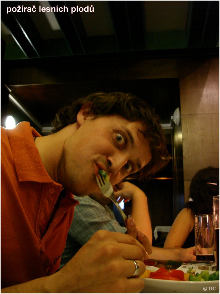 Dsc02117