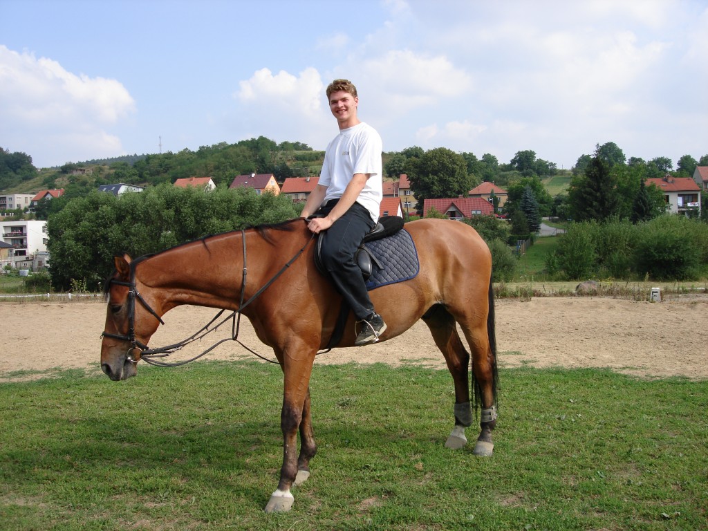 Obrázek